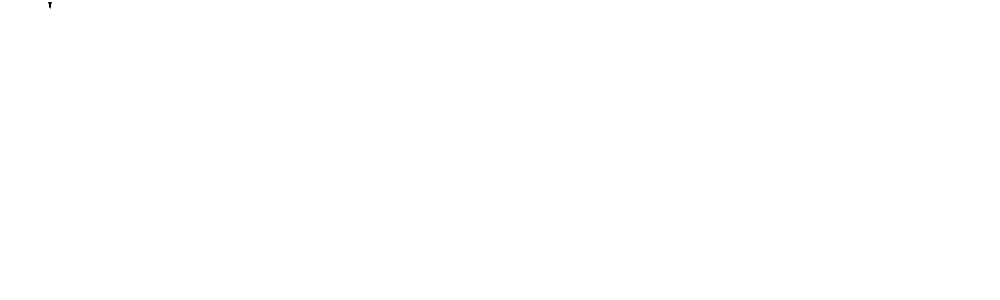 LOGO petir19